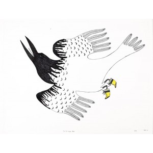 NINGIUKULU TEEVEE   1963-       The First Black Raven (drawing)