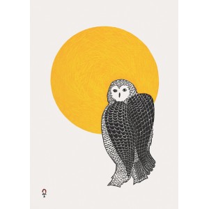 02- PEE ASHEVAK  1965-     Sunlit Owl